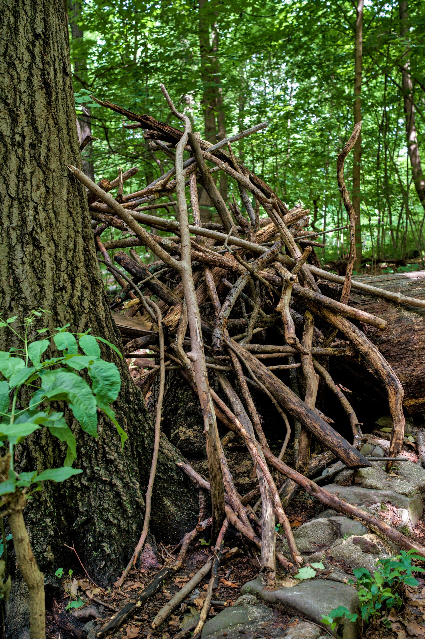 The Green