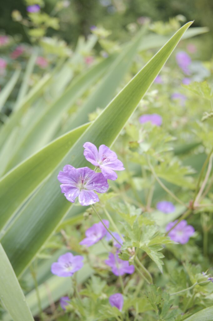 This image has an empty alt attribute; its file name is DSC_3801-682x1024.jpeg